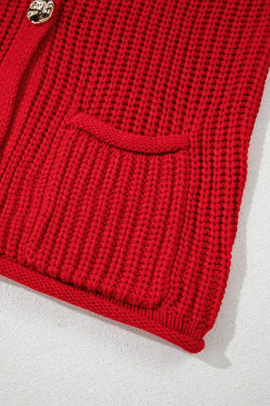 Textured Knit Buttoned Sweater Vest
