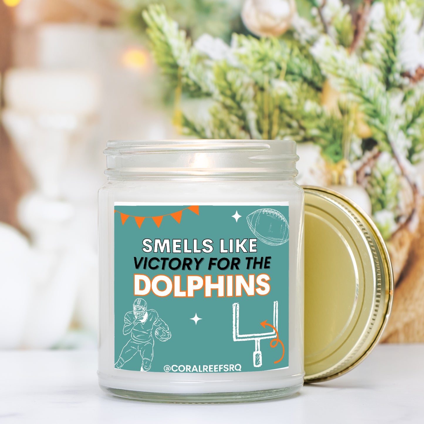 Dolphins Victory